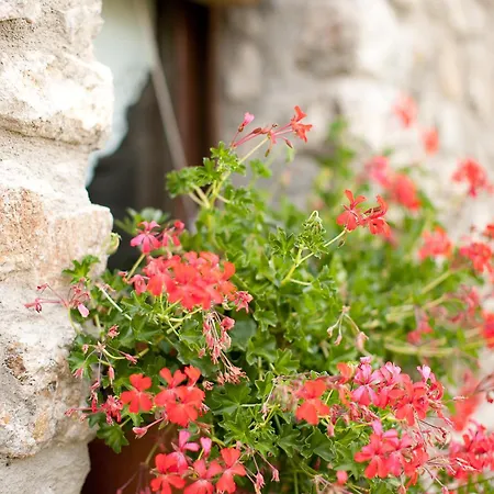 Country house Casa Leonardo